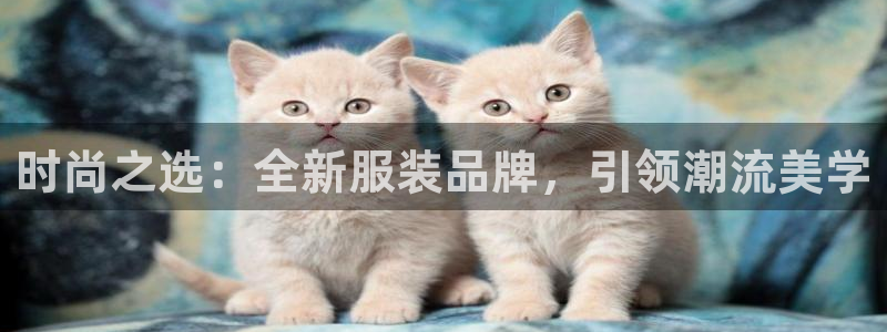 开丰娱乐官网平台