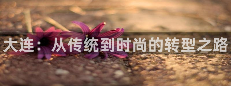 开丰娱乐会员中心
