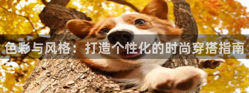 开丰娱乐日7O667