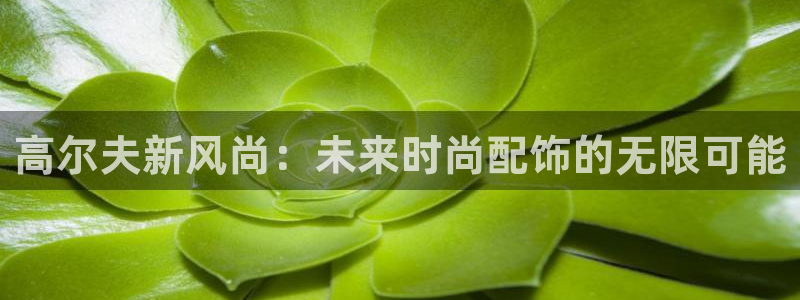 开丰娱乐
