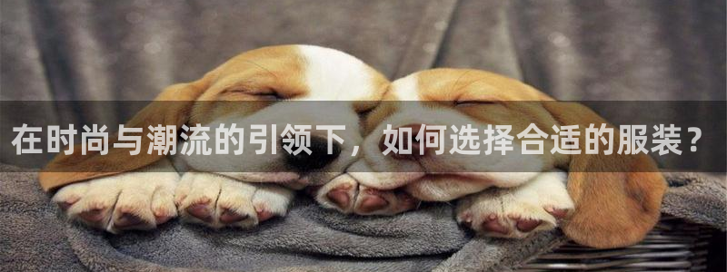 开丰娱乐于六七五一38