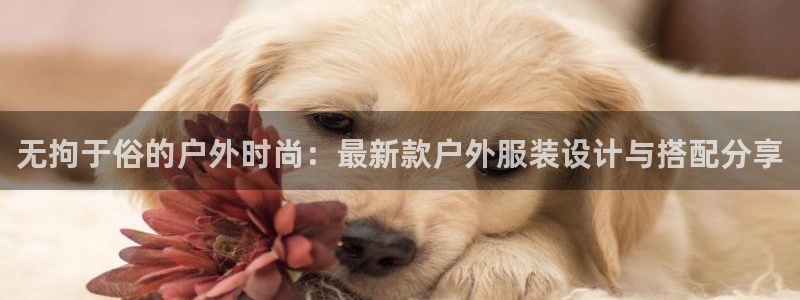开丰娱乐左