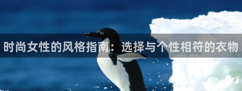 开丰娱乐更多平台