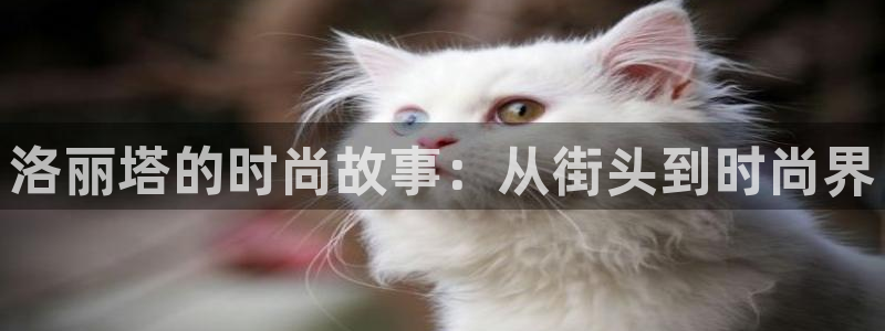 开丰娱乐平台地址在哪里