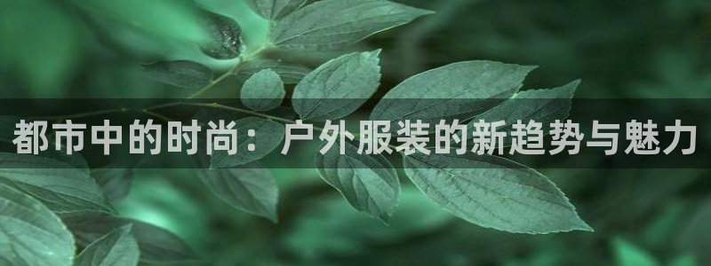 开丰娱乐登入