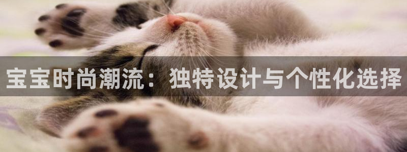 开丰娱乐登入