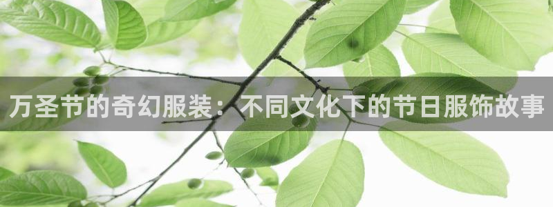 开丰娱乐地址