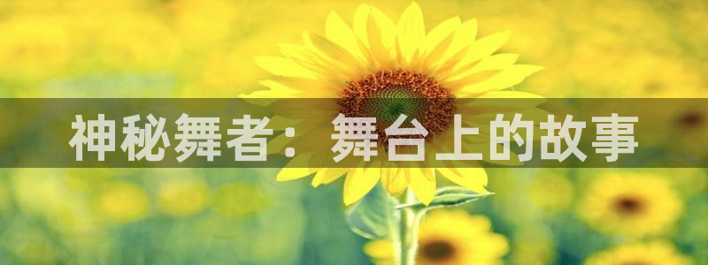 开丰娱乐登入地址