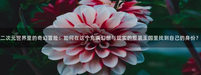 开丰娱乐测速
