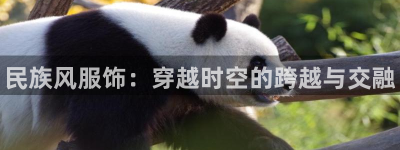 开丰娱乐下7O667