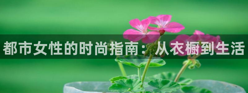 开丰娱乐于六七五一38