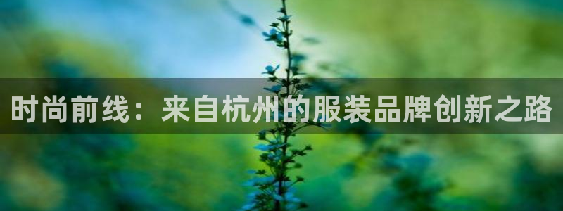 开丰娱乐官网平台网址